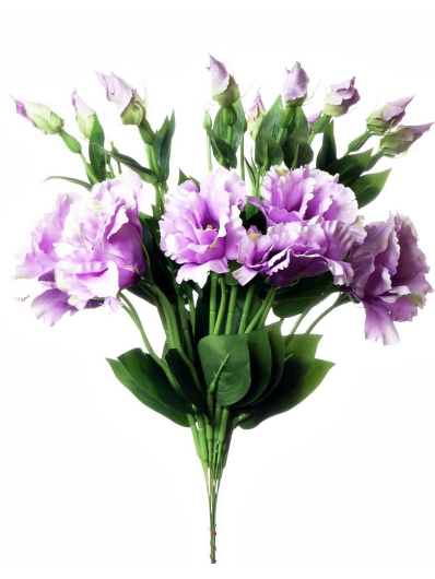 EUSTOMA SPRAY SUN357 LT VIOLET 1365