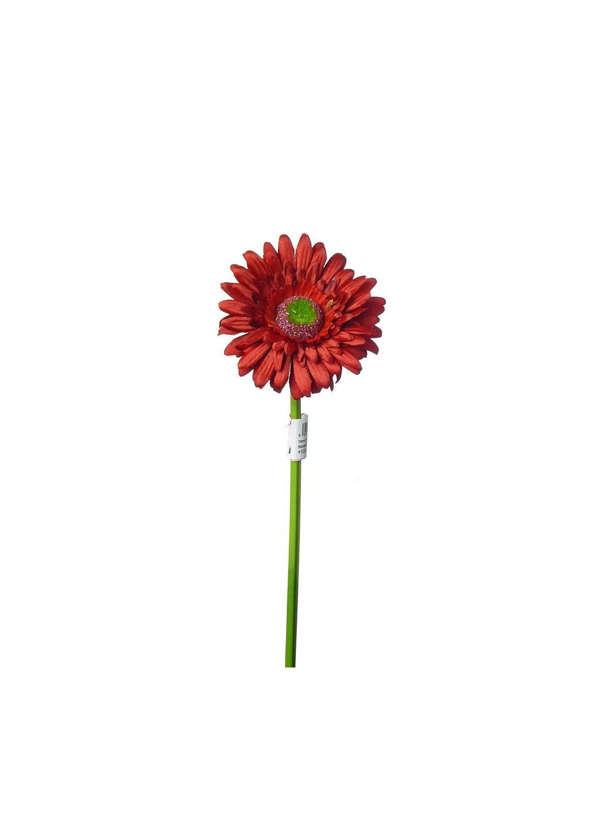 SMALL GERBERA SUN529 RED 1222A