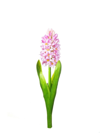 HIACYNT 40CM SUN561 LTPINK 2486
