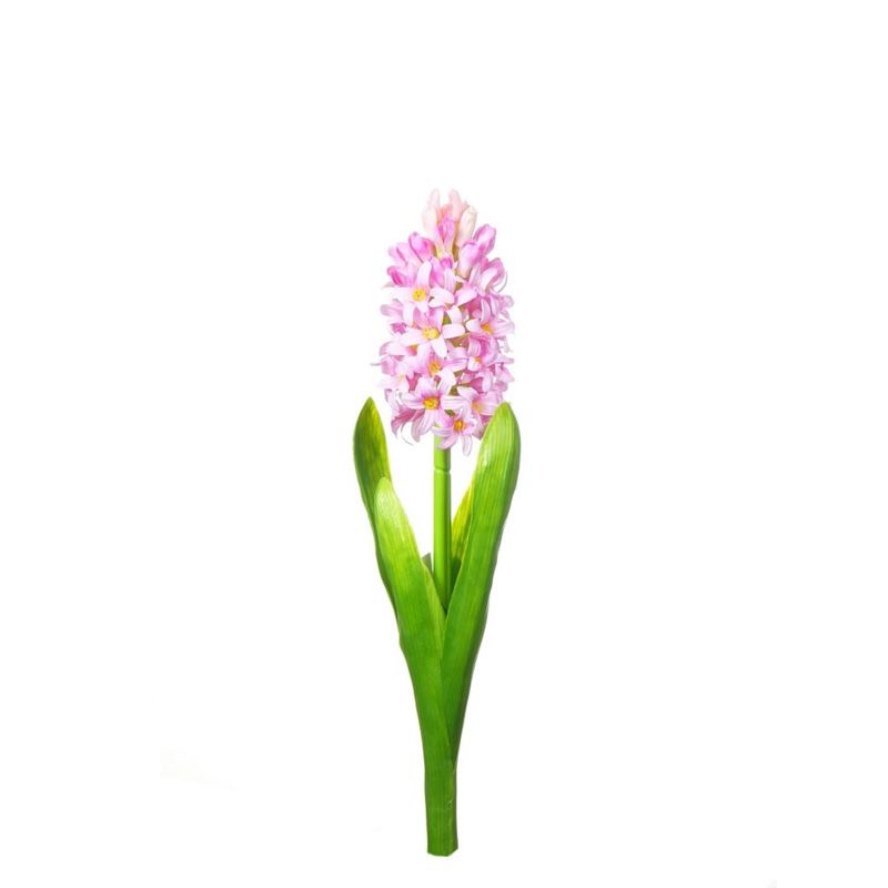 HIACYNT 40CM SUN561 LTPINK 2486