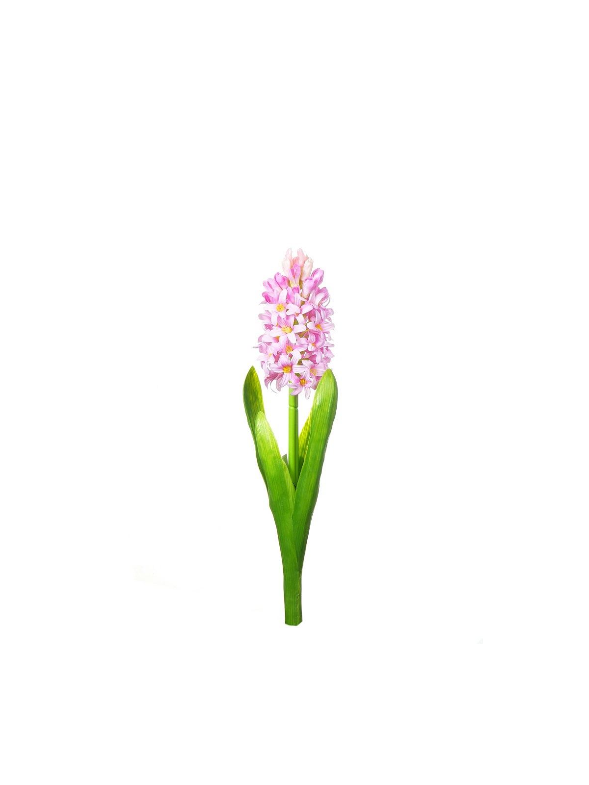HIACYNT 40CM SUN561 LTPINK 2486