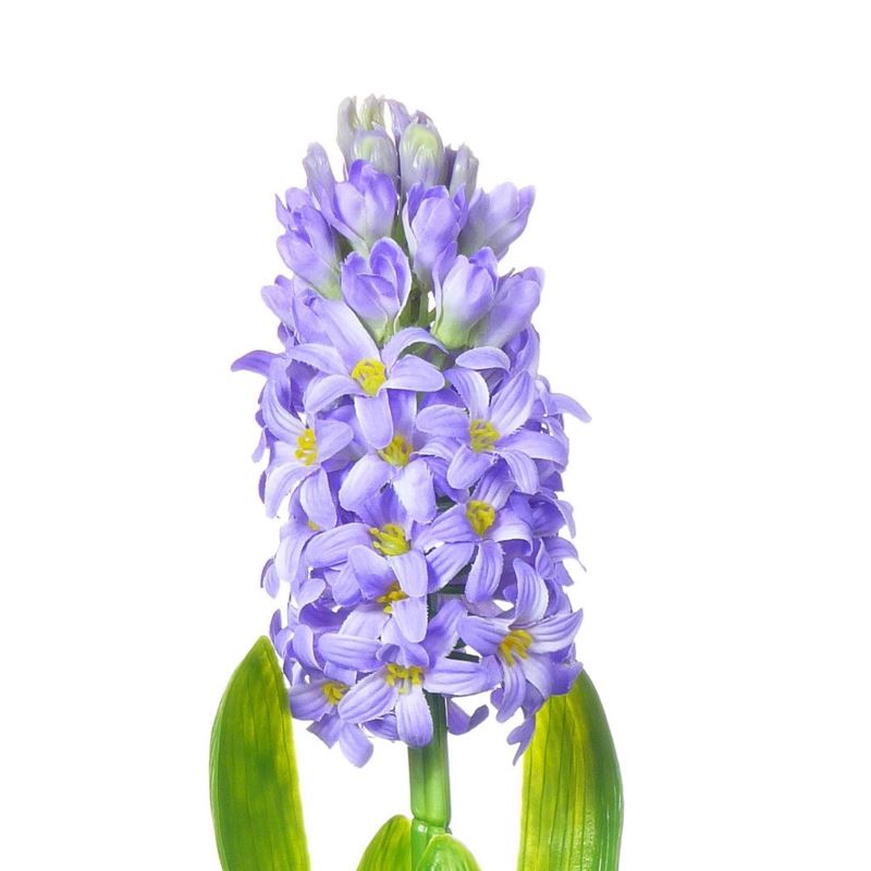 HIACYNT 40CM SUN561 LT. VIOLET 2488