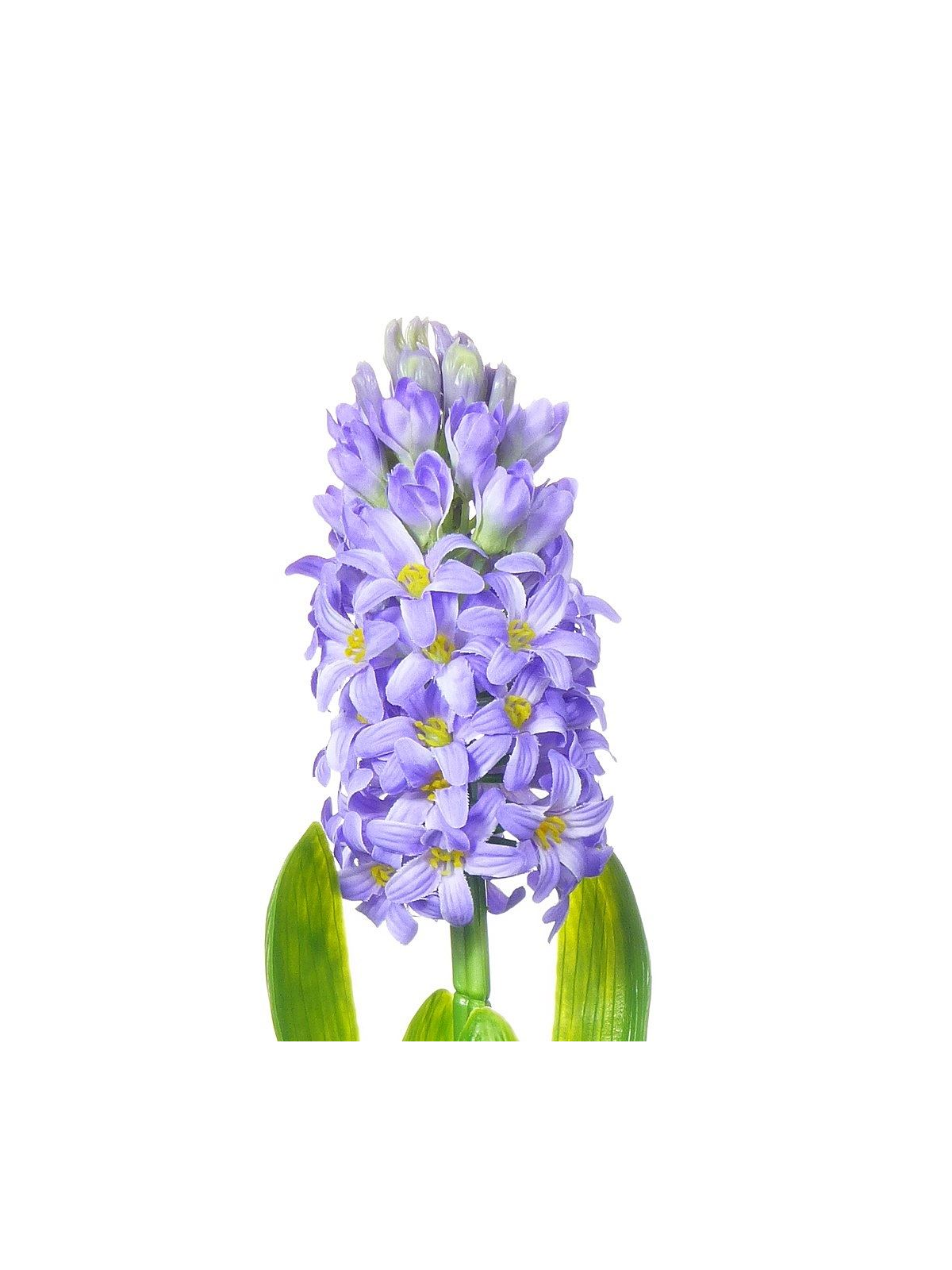 HIACYNT 40CM SUN561 LT. VIOLET 2488