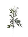 Ruskus na piku liu388 powder green
