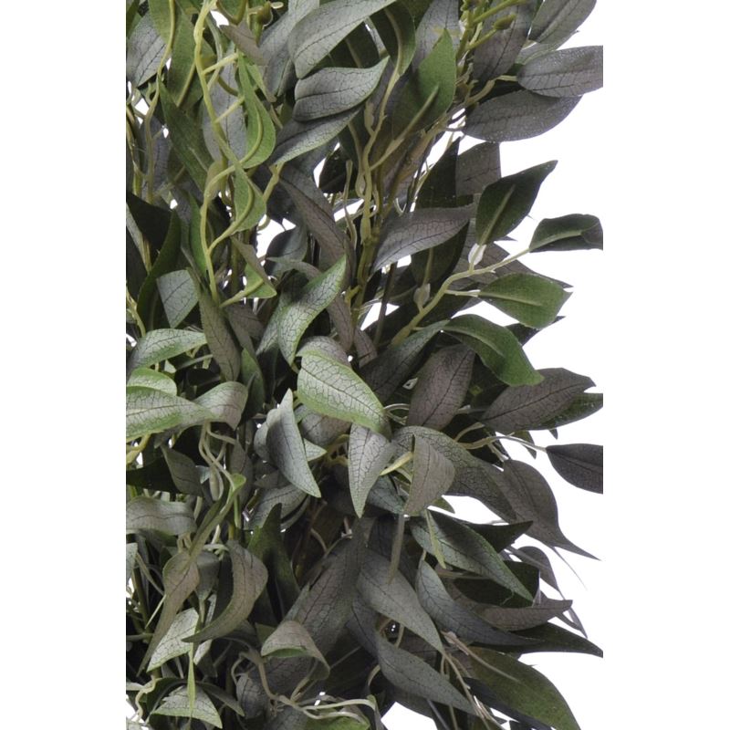 Ruskus na piku liu388 powder green