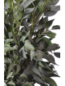 Ruskus na piku liu388 powder green