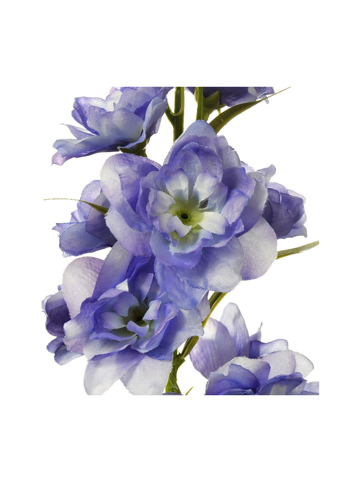 OSTRÓŻKA SUN498 BLUE/VIOLET