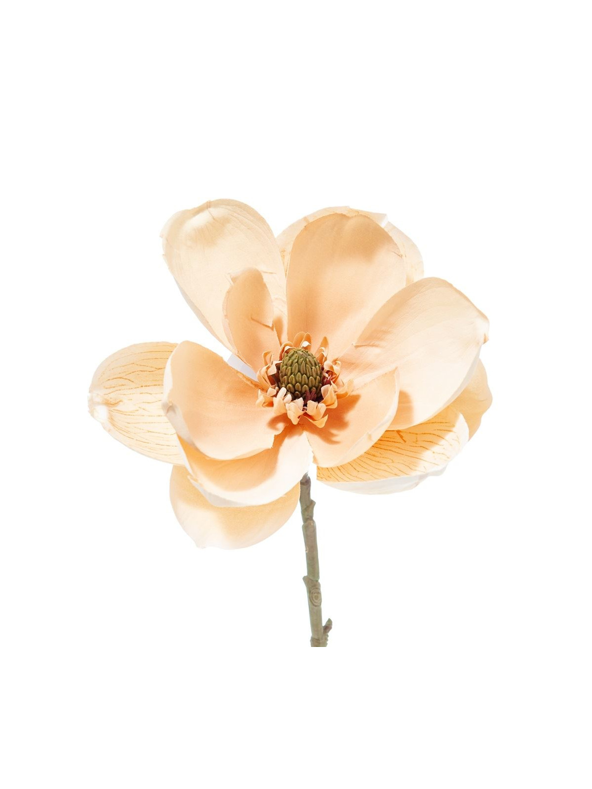 PICK MAGNOLIA 35CM CREAM BUTTER