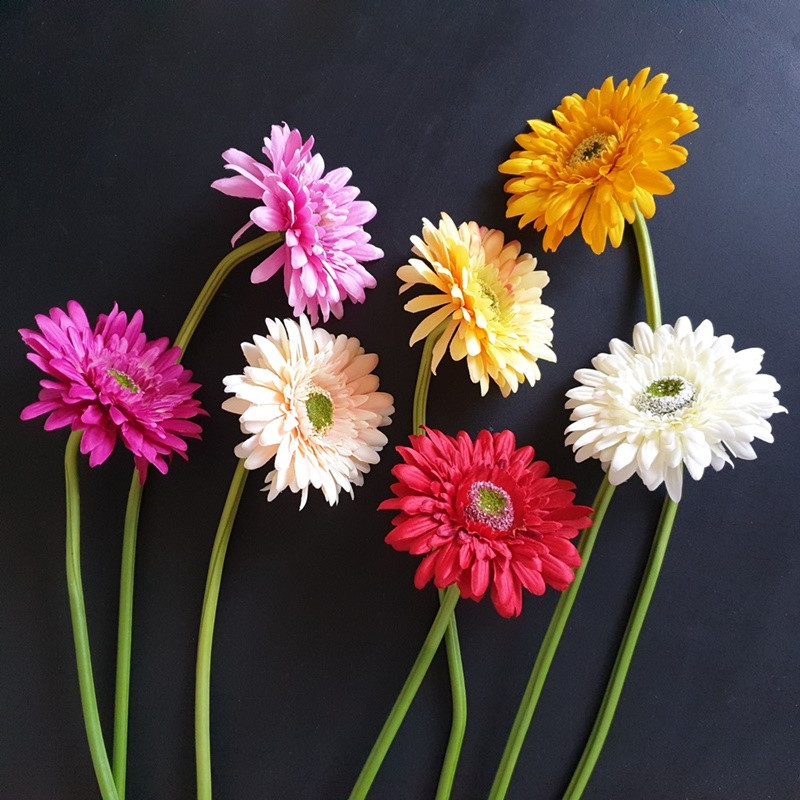 SMALL GERBERA SUN529 RED 1222A