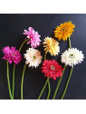 SMALL GERBERA SUN529 RED 1222A