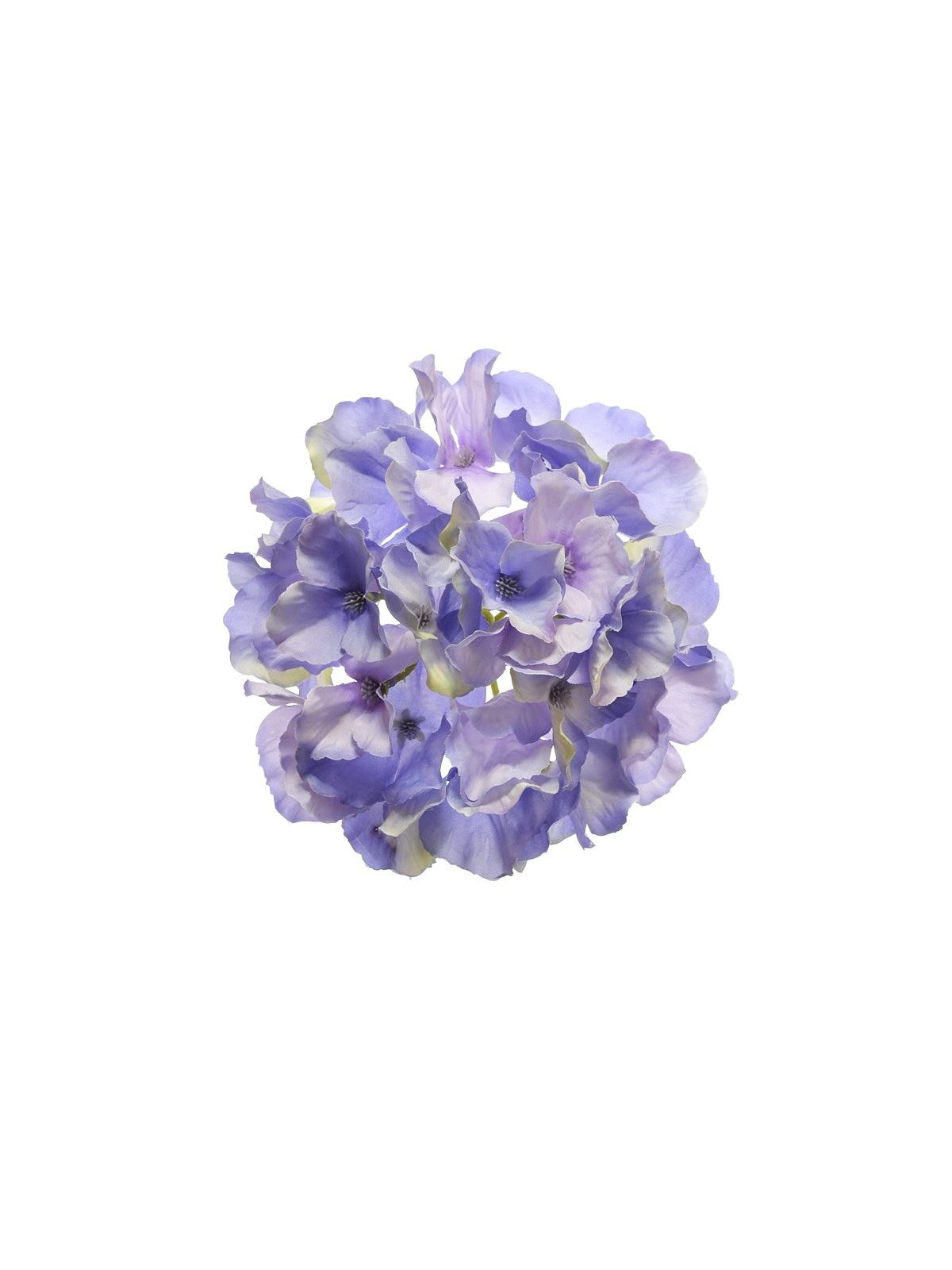 Hortensja główka 15cm sun644 violet