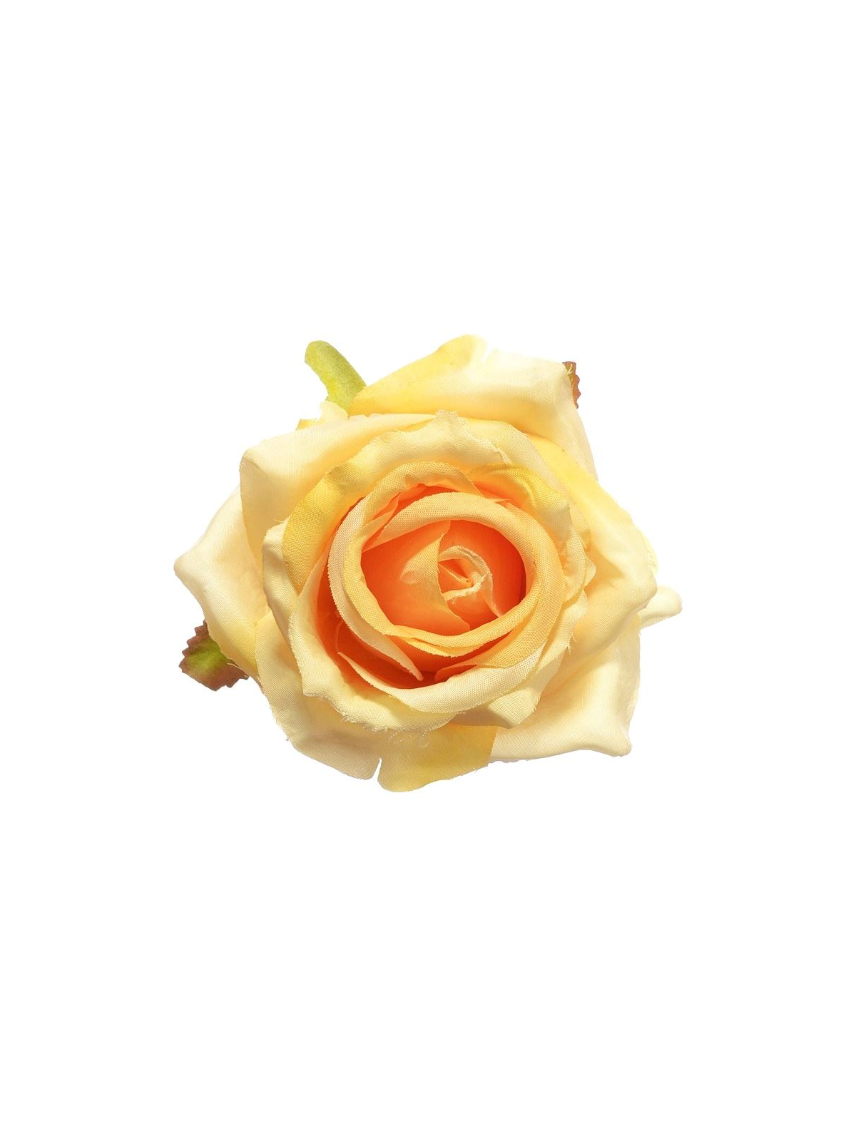 Róża głowa 10cm ly003 21l (lt tea)