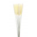 TRAWA PAMPASOWA POJ. TIK119 85CM WHITE CREAM