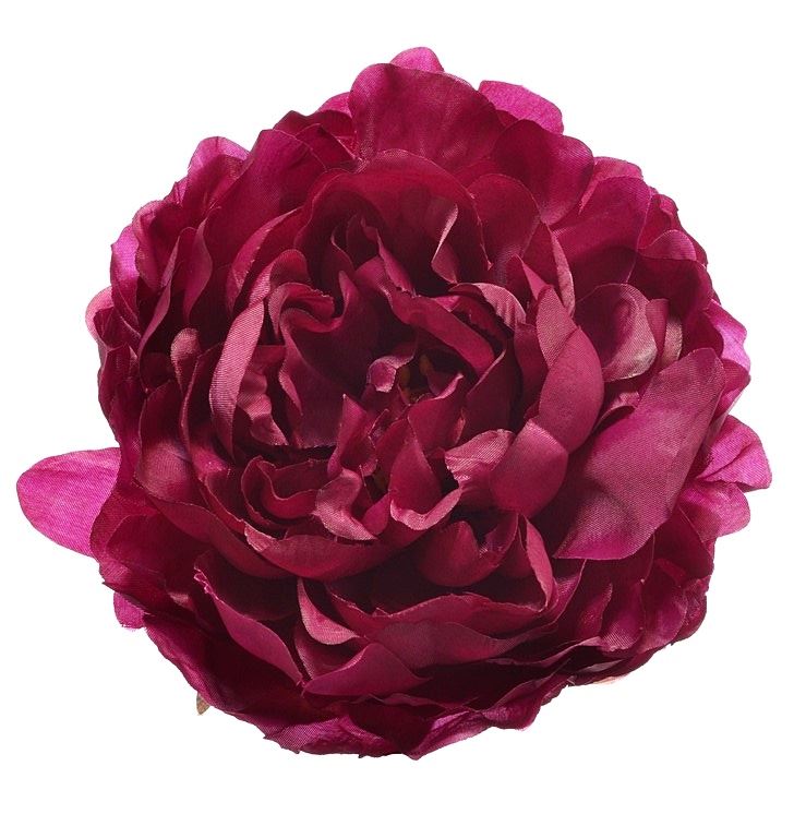 PEONIA WYROBOWA 15CM SUN406 DR. BEAUTY GREEN