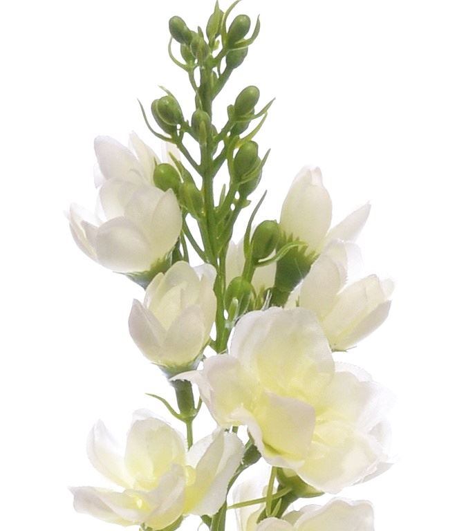 OSTRÓŻKA POJ. 72CM SUN498 WHITE GREEN