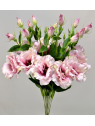 EUSTOMA NA PIKU 47CM SUN357  DEEP PINK