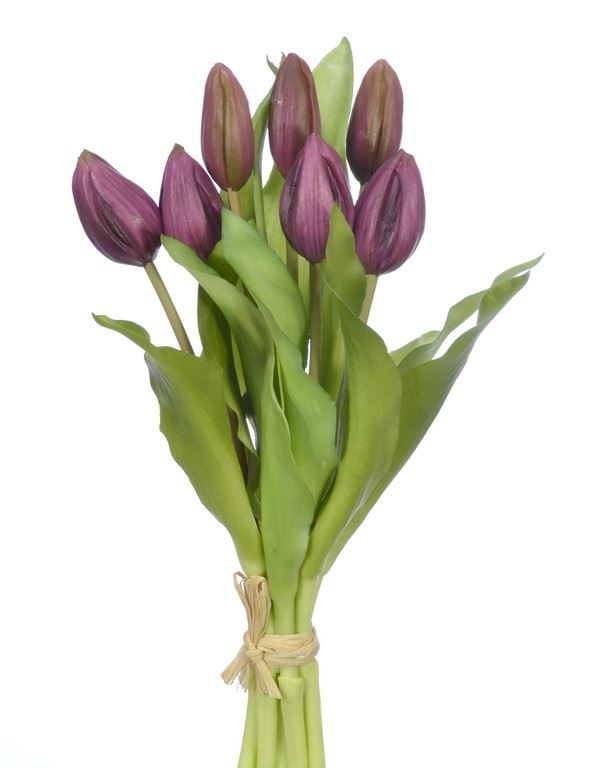 PĘCZEK TULIPANÓW W PĄKU 32CM PURPLE