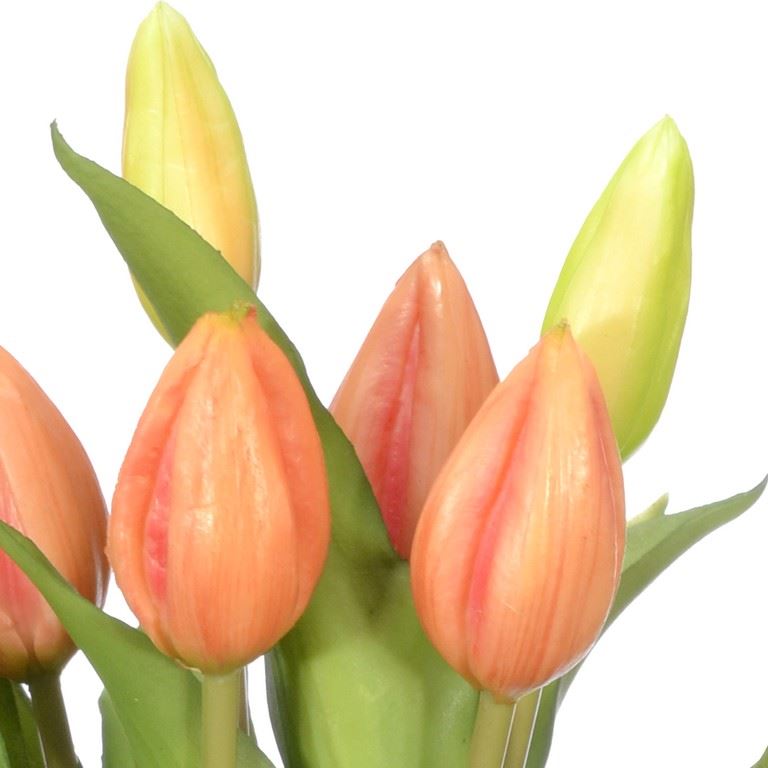 PĘCZEK TULIPANÓW W PĄKU 32CM SALMON GREEN