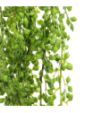ROŚLINA SZTUCZNA ZWIS SENECIO 82CM GREEN