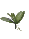 LIŚĆ DO STORCZYKA 25CM SA001 GREEN