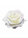 RÓŻA WYROBOWA 8CM SUN385 WHITE