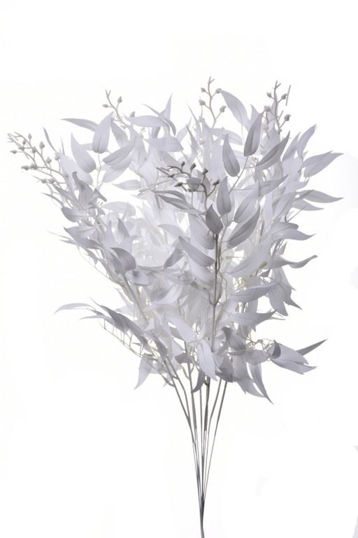 Ruskus na piku liu388 white