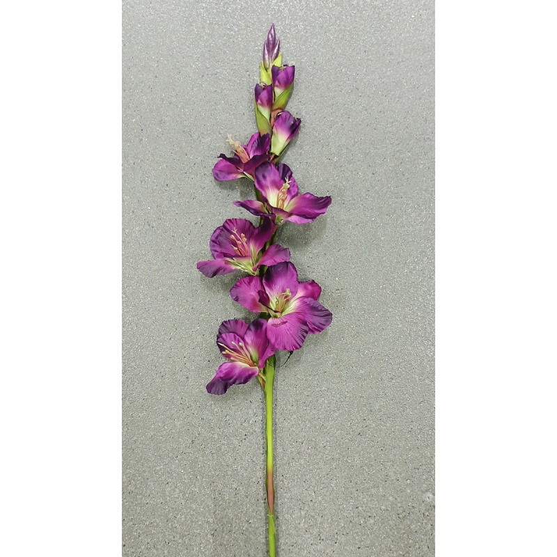 MIECZYK POJEDYNCZY 85CM SUN367 PURPLE GREEN