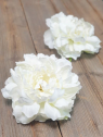 PEONIA GŁOWA 15CM MY249 CREAM