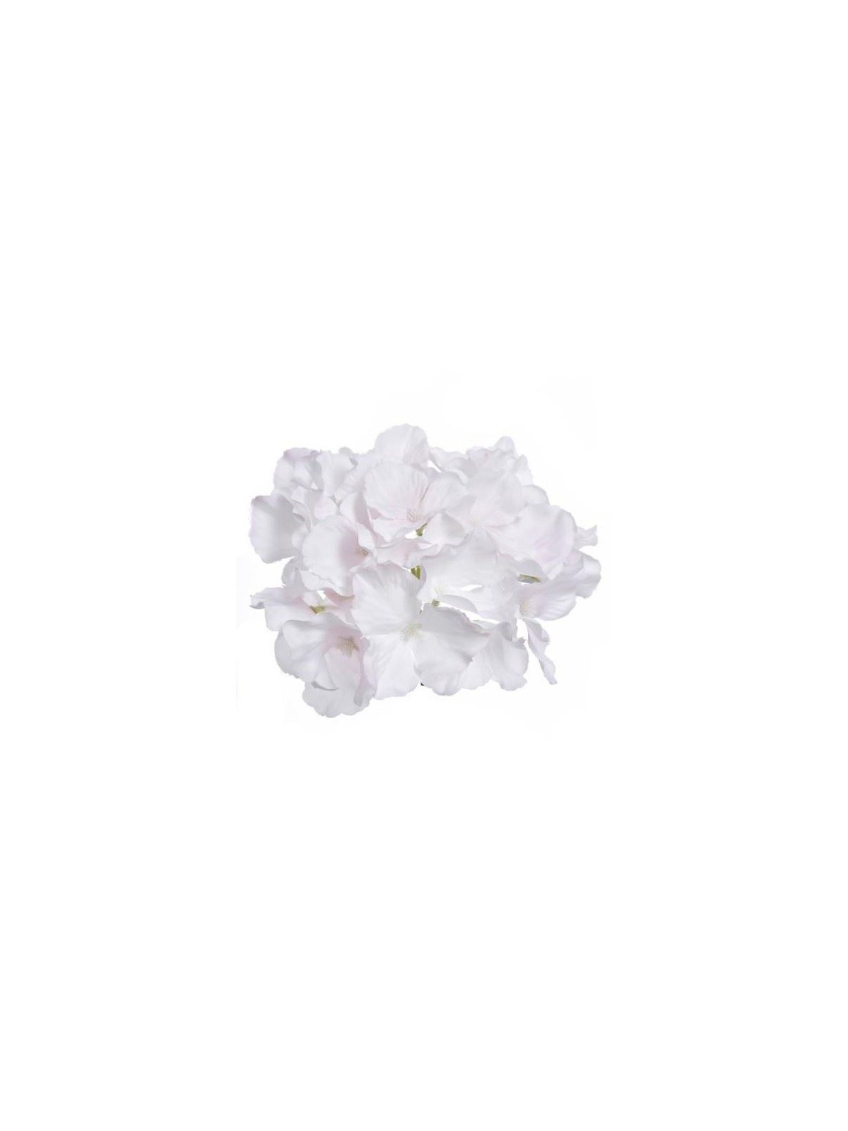 HORTENSJA GŁÓWKA 15CM SUN644 PEARL LT PINK