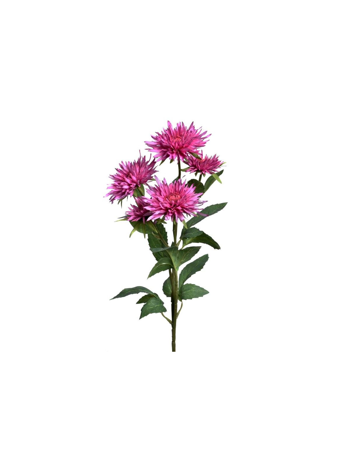 GAŁĄZKA ASTER 70CM SUN662 DR PINK