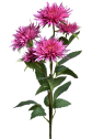 GAŁĄZKA ASTER 70CM SUN662 DR PINK
