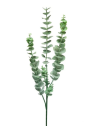 EUKALIPTUS GUMA 75CM POWDER GREEN