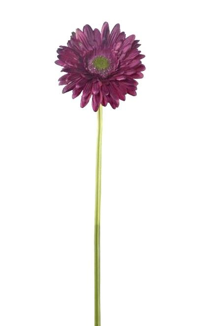 GERBERA POJEDYNCZA 47CM  SUN529 BURGUNDY