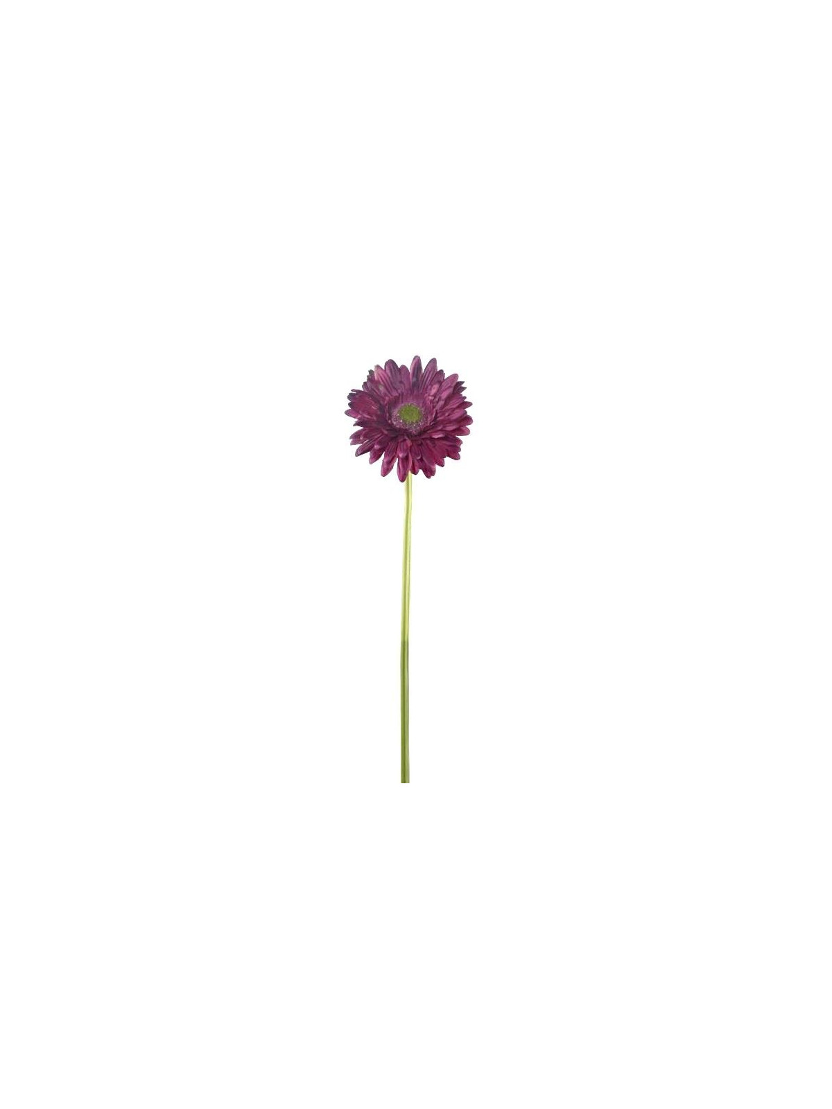 GERBERA POJEDYNCZA 47CM  SUN529 BURGUNDY