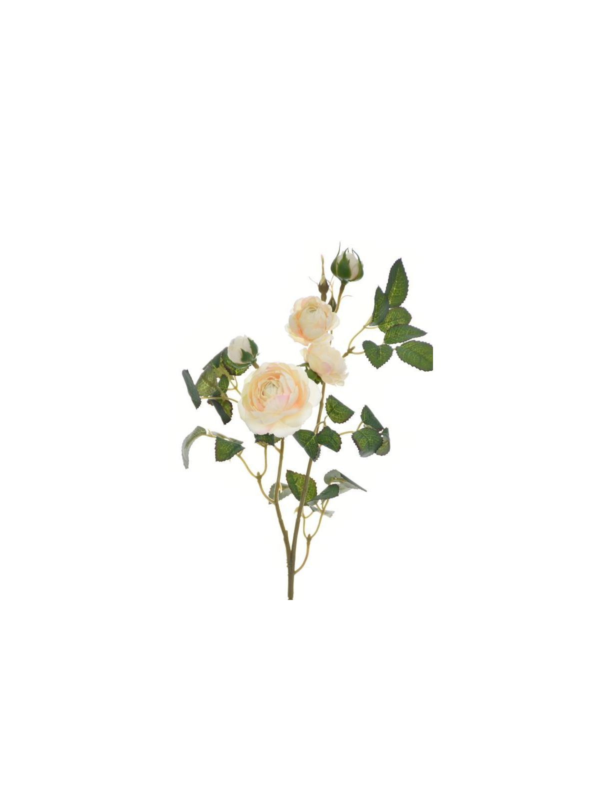 RÓŻA MINI NA GAŁĄZCE 50CM SUN760 PEARL PEACH