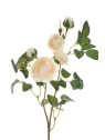 RÓŻA MINI NA GAŁĄZCE 50CM SUN760 PEARL PEACH