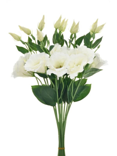 EUSTOMA SPRAY SUN357 WHITE 1175