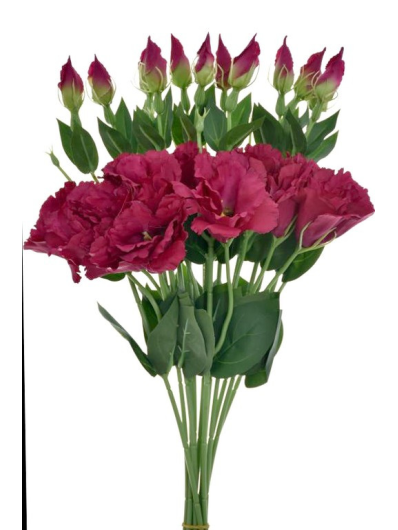 EUSTOMA SPRAY SUN357 FUCHSIA 2268
