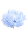 PEONIA WYROBOWA 15CM SUN406 POWDER BLUE
