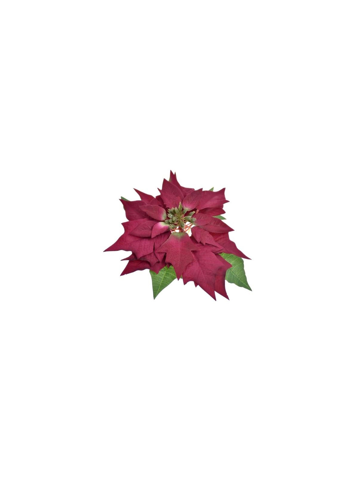 POINSECJA GŁOWA VELVET 18CM SUN714 BURGUNDY