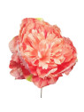 PEONIA PICK O 18 CM H 18 CM SALMON