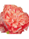 PEONIA PICK O 18 CM H 18 CM SALMON