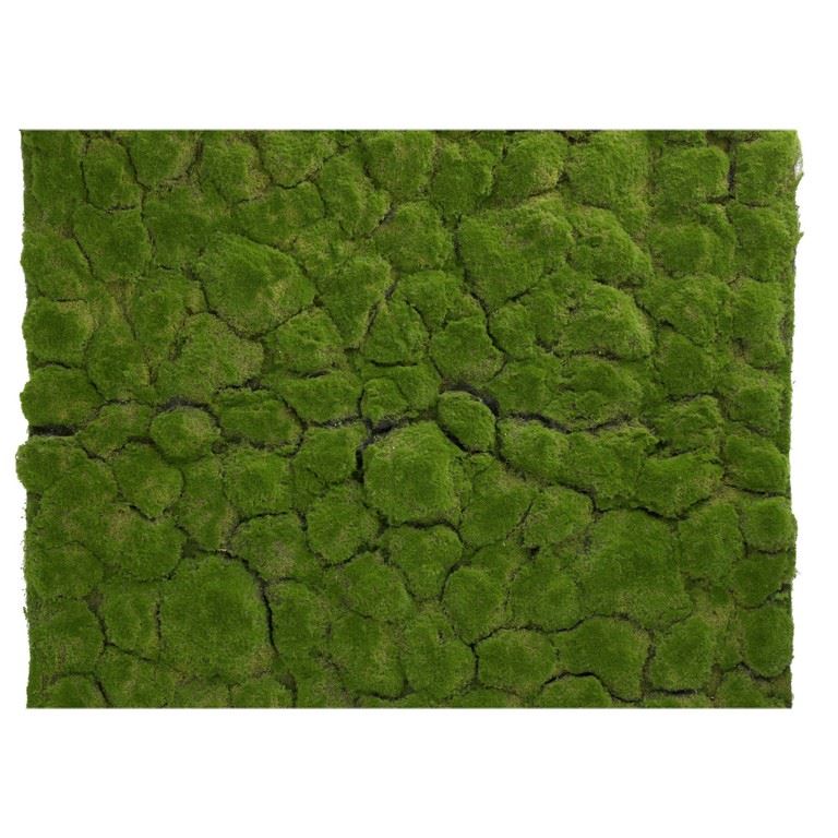 MATA MECH MOSS LAWN 100CMX100CM 0016 GREEN
