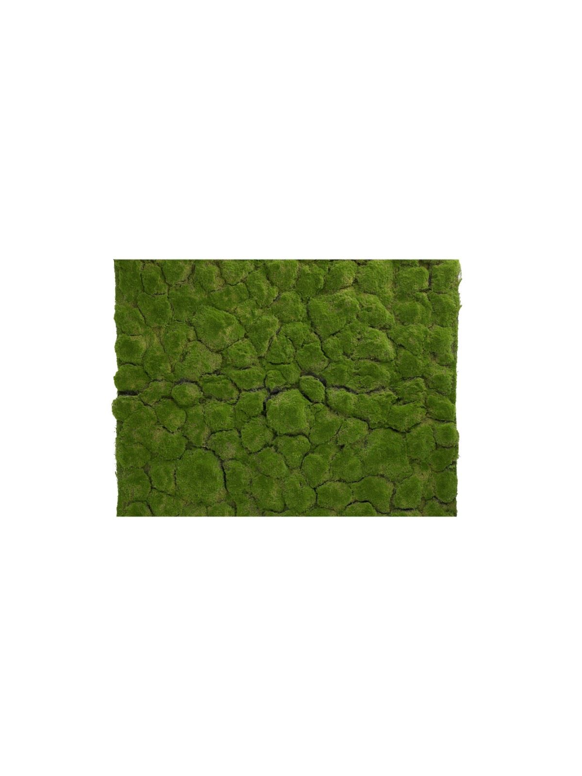 MATA MECH MOSS LAWN 100CMX100CM 0016 GREEN