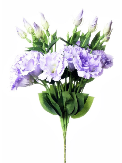 EUSTOMA SPRAY SUN357 POWDER VIOLET 2387