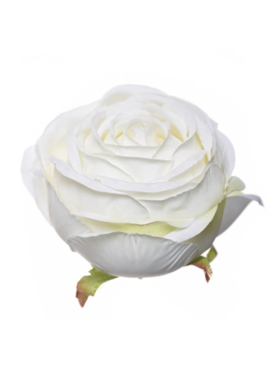 RÓŻA POPPY GŁOWA 9CM SUN564 ECRU