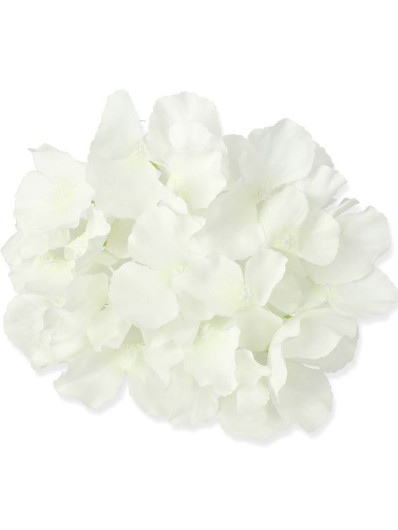 HORTENSJA GŁÓWKA 17CM / LE18 48 MILK