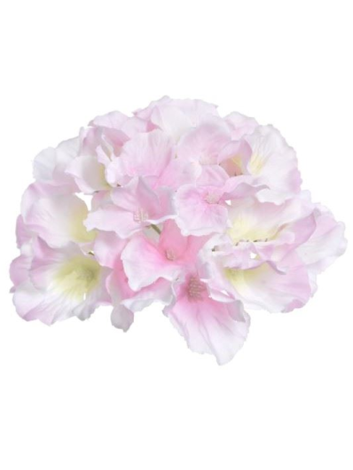 HORTENSJA GŁÓWKA 15CM SUN644 SWEET PINK LT GREEN