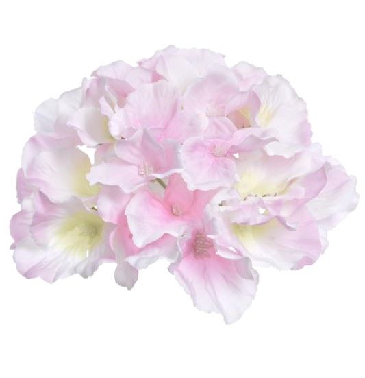 HORTENSJA GŁÓWKA 15CM SUN644 SWEET PINK LT GREEN