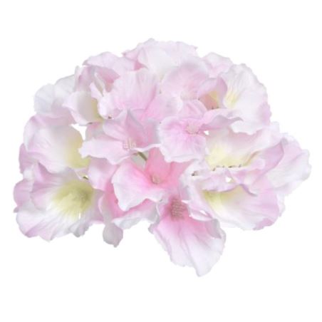 HORTENSJA GŁÓWKA 15CM SUN644 SWEET PINK LT GREEN